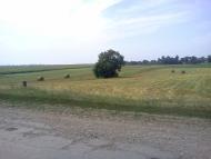 Гурівці з panoramio.com