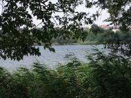 Прилиманське з panoramio.com