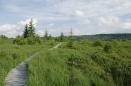 Шандровець з panoramio.com - Шандровец