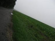 Ракова з panoramio.com