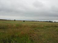 Вирка з panoramio.com