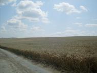 Мелешків з panoramio.com