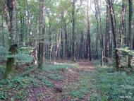 Страдч з panoramio.com