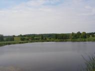 Квітки з panoramio.com