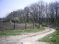 Шкарівка з panoramio.com - Шкаровка