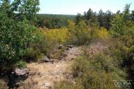 Красна Зоря з panoramio.com