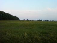 Рівнинне з panoramio.com