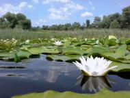 Гороховатка з panoramio.com