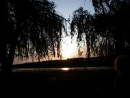 Козацьке з panoramio.com