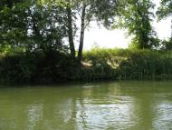 Синичине з panoramio.com