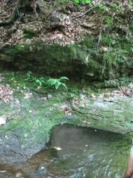 Зарічне з panoramio.com