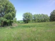 Кошари з panoramio.com