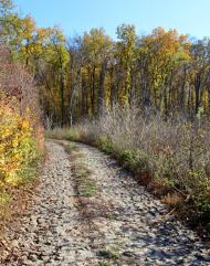 Балаклея з panoramio.com