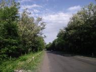 Олександрівка з panoramio.com