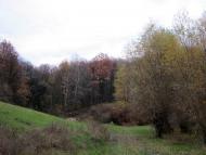 Загірське з panoramio.com