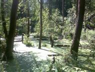 Ізбицьке з panoramio.com