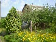 Пилиповичі з panoramio.com