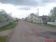 Корчин - Останні фото