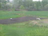 Колодяжне з panoramio.com