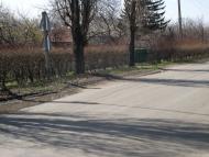 Очеретине з panoramio.com