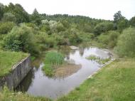 Берестовець з panoramio.com