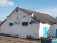 Думинське з panoramio.com