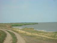Василівка з panoramio.com