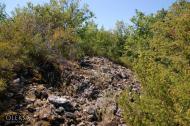 Красна Зоря з panoramio.com