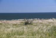 Куликівське з panoramio.com - Куликовское
