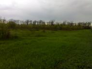 Виноградар з panoramio.com