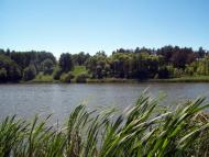 Мала Снітинка - Останні фото