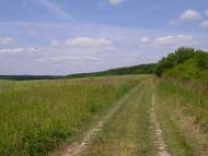 Красносілка з panoramio.com