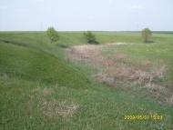 Макарівщина з panoramio.com