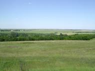 Брагинці з panoramio.com