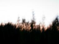 Козацьке з panoramio.com