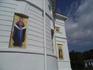 Ромашки з panoramio.com