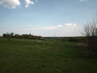 Журавлинка з panoramio.com