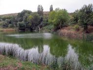 Брянське з panoramio.com