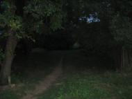 Мишурин Ріг з panoramio.com - Мишурин Рог