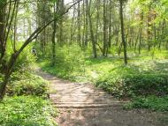 Рудки з panoramio.com