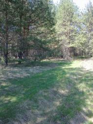 Собичеве з panoramio.com