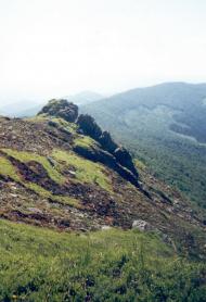 Біласовиця з panoramio.com