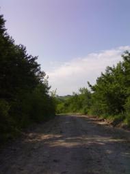 Вила з panoramio.com - Вила