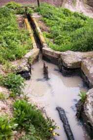 Борисів - Останні фото