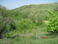 Киселеве з panoramio.com