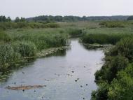 Озерне з panoramio.com