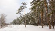 Червоний Донець з panoramio.com - Червоный Донец