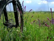 Одрадне - Останні фото