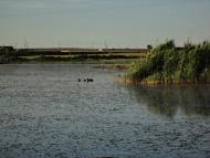 Лиманне з panoramio.com