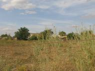 Софіївка з panoramio.com